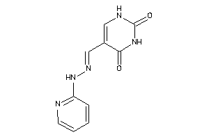 5-[(2-pyridylhydrazono)methyl]uracil