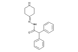 2,2-diphenyl-N-(4-piperidylideneamino)acetamide