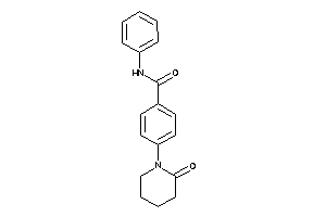 4-(2-ketopiperidino)-N-phenyl-benzamide