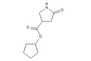 Image of 5-ketopyrrolidine-3-carboxylic Acid Cyclopentyl Ester