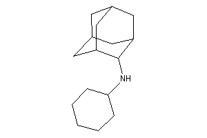 2-adamantyl(cyclohexyl)amine