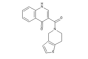 3-(6,7-dihydro-4H-thieno[3,2-c]pyridine-5-carbonyl)-4-quinolone