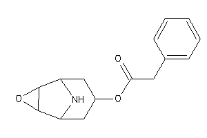 Image of 2-phenylacetic Acid BLAHyl Ester