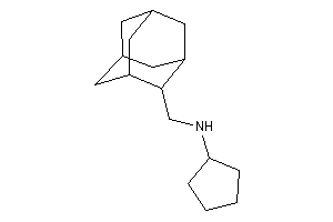 2-adamantylmethyl(cyclopentyl)amine