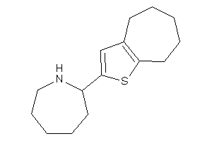 2-(5,6,7,8-tetrahydro-4H-cyclohepta[b]thiophen-2-yl)azepane