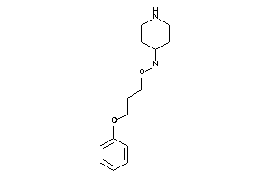 3-phenoxypropoxy(4-piperidylidene)amine