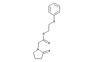 2-(2-ketopyrrolidino)acetic Acid 2-phenoxyethyl Ester