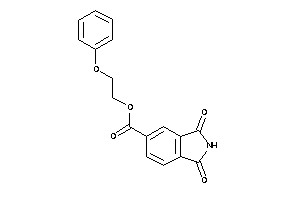 1,3-diketoisoindoline-5-carboxylic Acid 2-phenoxyethyl Ester