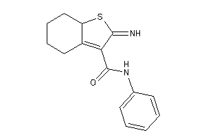 2-imino-N-phenyl-5,6,7,7a-tetrahydro-4H-benzothiophene-3-carboxamide