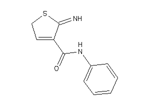5-imino-N-phenyl-2H-thiophene-4-carboxamide