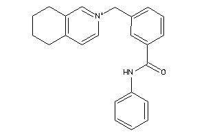 N-phenyl-3-(5,6,7,8-tetrahydroisoquinolin-2-ium-2-ylmethyl)benzamide