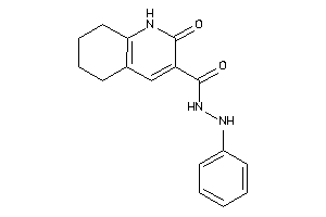 2-keto-N'-phenyl-5,6,7,8-tetrahydro-1H-quinoline-3-carbohydrazide