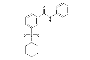 N-phenyl-3-piperidinosulfonyl-benzamide