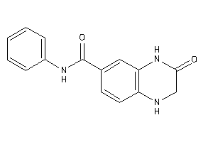 3-keto-N-phenyl-2,4-dihydro-1H-quinoxaline-6-carboxamide