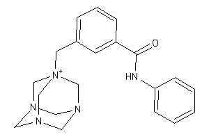 Image of N-phenyl-3-(BLAHylmethyl)benzamide