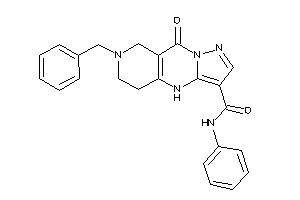 Benzyl-keto-N-phenyl-BLAHcarboxamide
