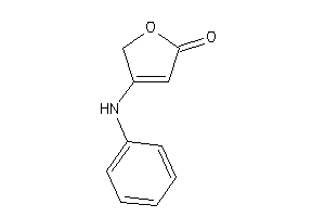 3-anilino-2H-furan-5-one