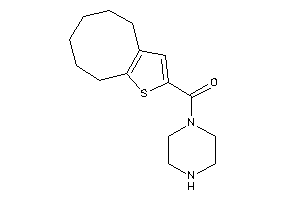 Image of 4,5,6,7,8,9-hexahydrocycloocta[b]thiophen-2-yl(piperazino)methanone