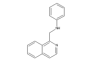 1-isoquinolylmethyl(phenyl)amine