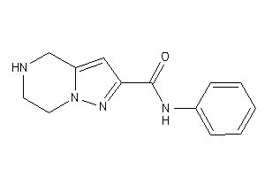 N-phenyl-4,5,6,7-tetrahydropyrazolo[1,5-a]pyrazine-2-carboxamide