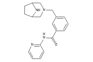 3-(3,8-diazabicyclo[3.2.1]octan-3-ylmethyl)-N-(2-pyridyl)benzamide