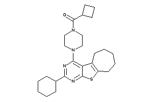 Cyclobutyl-[4-(cyclohexylBLAHyl)piperazino]methanone