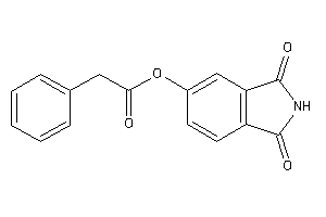 2-phenylacetic Acid (1,3-diketoisoindolin-5-yl) Ester