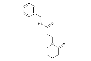 N-benzyl-3-(2-ketopiperidino)propionamide