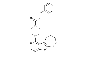 3-phenyl-1-(4-BLAHylpiperazino)propan-1-one