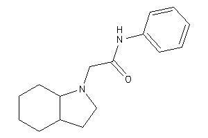 2-(2,3,3a,4,5,6,7,7a-octahydroindol-1-yl)-N-phenyl-acetamide