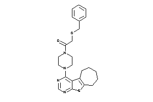 Image of 2-benzoxy-1-(4-BLAHylpiperazino)ethanone