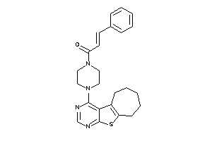 Image of 3-phenyl-1-(4-BLAHylpiperazino)prop-2-en-1-one