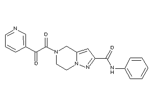 5-[2-keto-2-(3-pyridyl)acetyl]-N-phenyl-6,7-dihydro-4H-pyrazolo[1,5-a]pyrazine-2-carboxamide