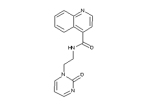 N-[2-(2-ketopyrimidin-1-yl)ethyl]cinchoninamide