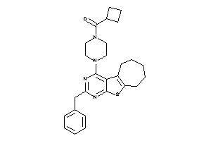 [4-(benzylBLAHyl)piperazino]-cyclobutyl-methanone