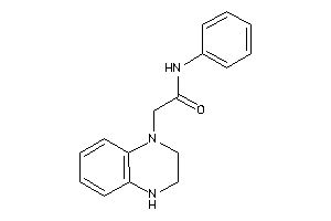2-(3,4-dihydro-2H-quinoxalin-1-yl)-N-phenyl-acetamide