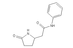 2-(5-ketopyrrolidin-2-yl)-N-phenyl-acetamide