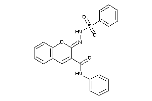 2-(besylhydrazono)-N-phenyl-chromene-3-carboxamide