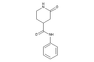 2-keto-N-phenyl-isonipecotamide