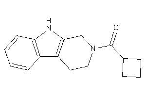 Cyclobutyl(1,3,4,9-tetrahydro-$b-carbolin-2-yl)methanone