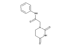 2-(2,4-diketohexahydropyrimidin-1-yl)-N-phenyl-acetamide