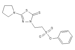 2-(5-pyrrolidino-2-thioxo-1,3,4-thiadiazol-3-yl)ethanesulfonic Acid Phenyl Ester