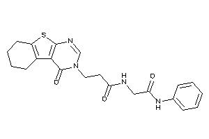 N-(2-anilino-2-keto-ethyl)-3-(4-keto-5,6,7,8-tetrahydrobenzothiopheno[2,3-d]pyrimidin-3-yl)propionamide