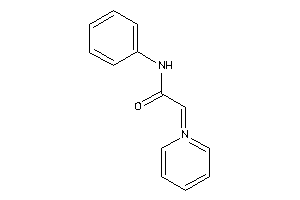 N-phenyl-2-(1-pyridylidene)acetamide