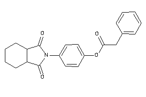 2-phenylacetic Acid [4-(1,3-diketo-3a,4,5,6,7,7a-hexahydroisoindol-2-yl)phenyl] Ester