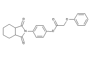 2-phenoxyacetic Acid [4-(1,3-diketo-3a,4,5,6,7,7a-hexahydroisoindol-2-yl)phenyl] Ester