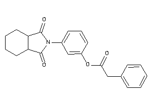 2-phenylacetic Acid [3-(1,3-diketo-3a,4,5,6,7,7a-hexahydroisoindol-2-yl)phenyl] Ester