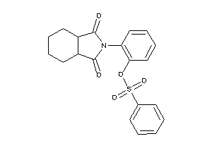 Benzenesulfonic Acid [2-(1,3-diketo-3a,4,5,6,7,7a-hexahydroisoindol-2-yl)phenyl] Ester