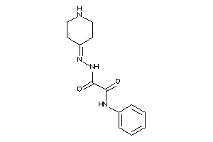 N'-phenyl-N-(4-piperidylideneamino)oxamide