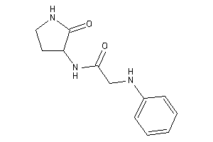 2-anilino-N-(2-ketopyrrolidin-3-yl)acetamide